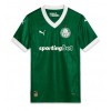 Herren Fußballbekleidung Palmeiras Heimtrikot 2025-26 Kurzarm